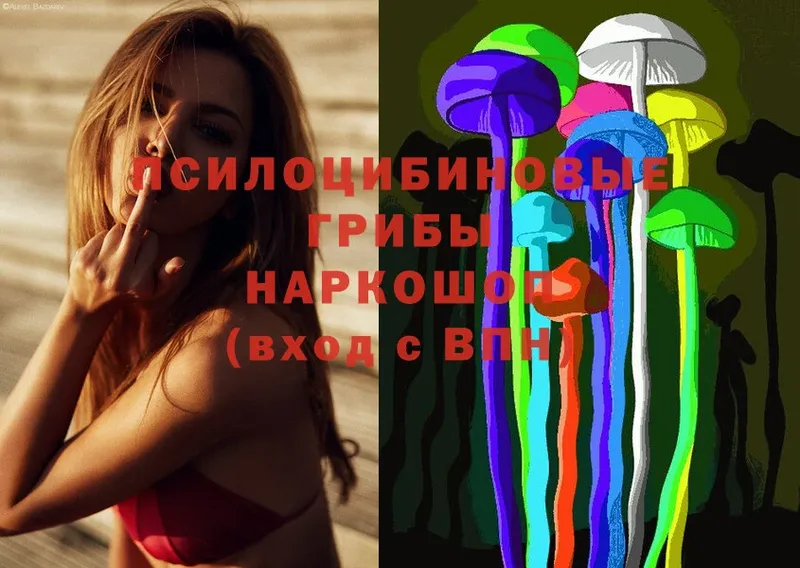 Псилоцибиновые грибы MAGIC MUSHROOMS Тогучин